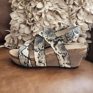 NWOT Pierre Dumas snakeskin wedges